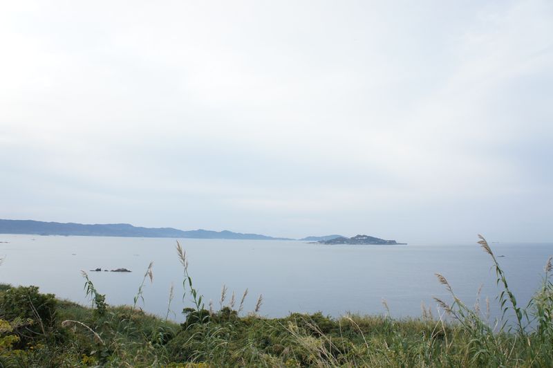 DSC00484