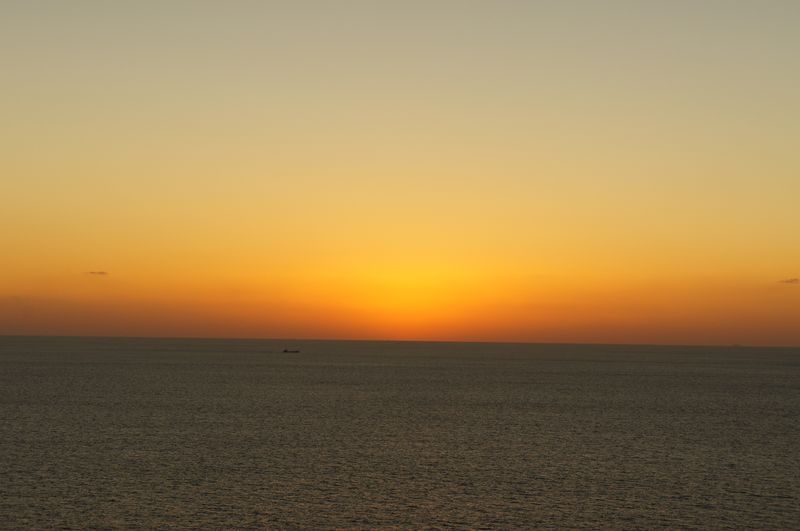DSC00878