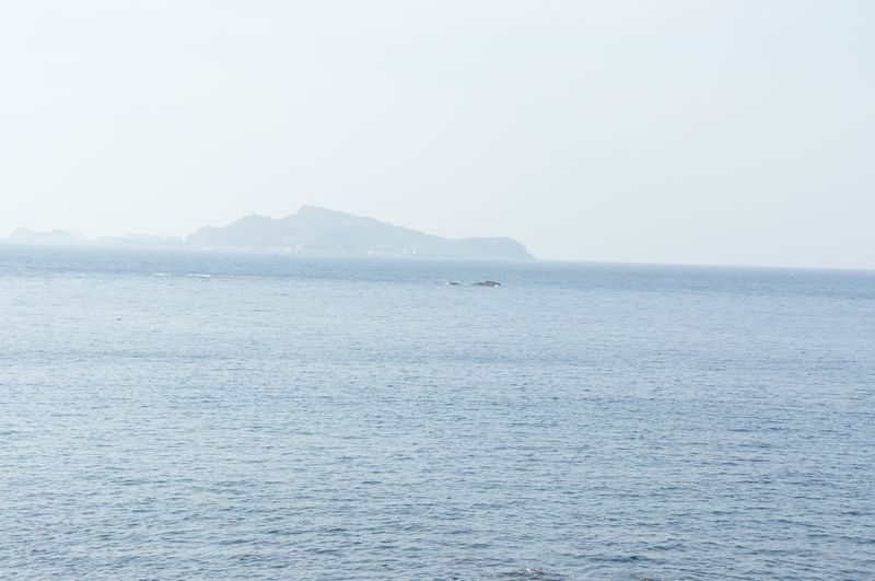 DSC01179