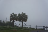 DSC03242