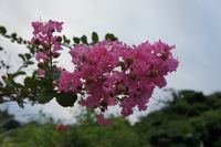 DSC04056