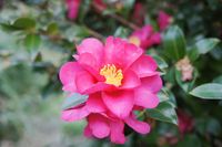 DSC07601