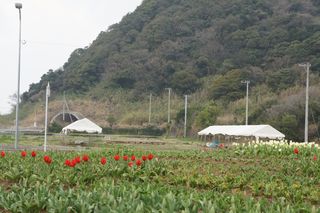DSC08345