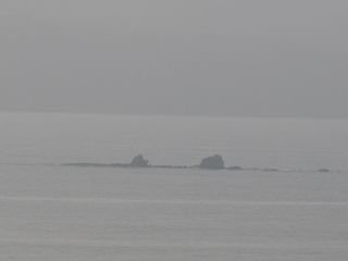 P1130174