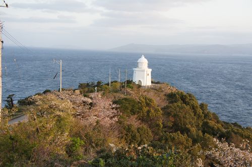 DSC08484