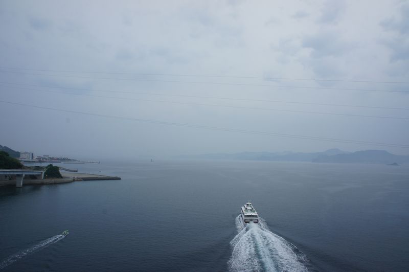 DSC09445