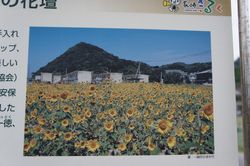 DSC09629