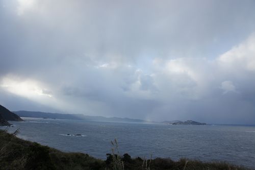 DSC07903