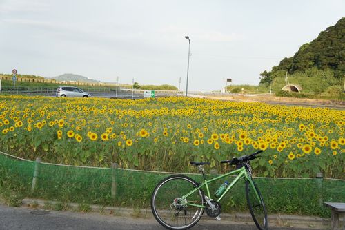 DSC00120