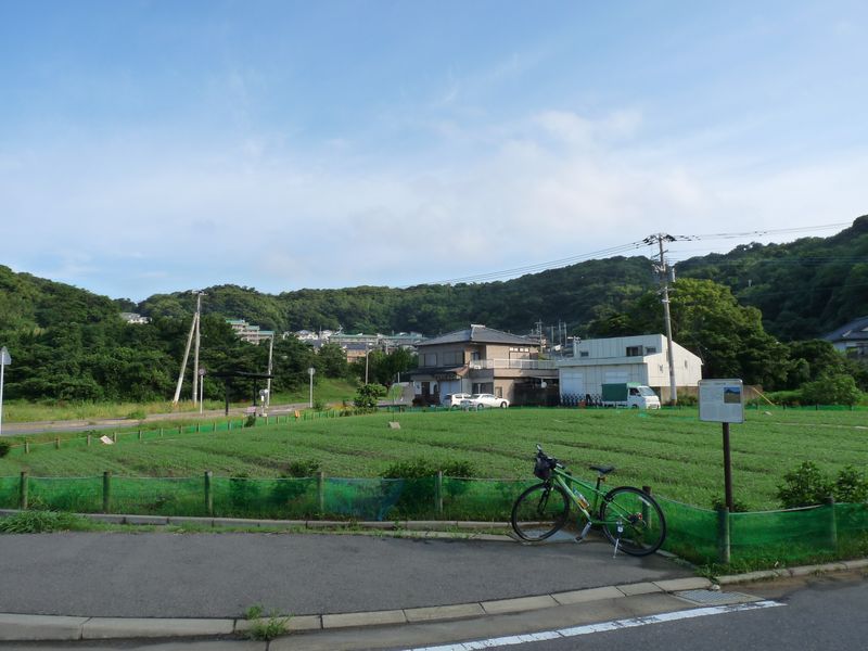 P1130555