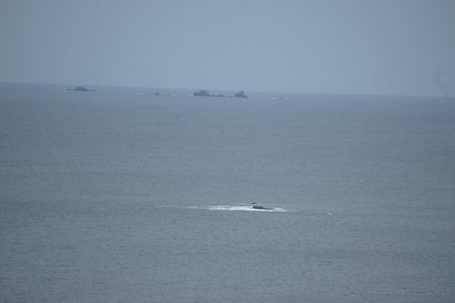 DSC00472