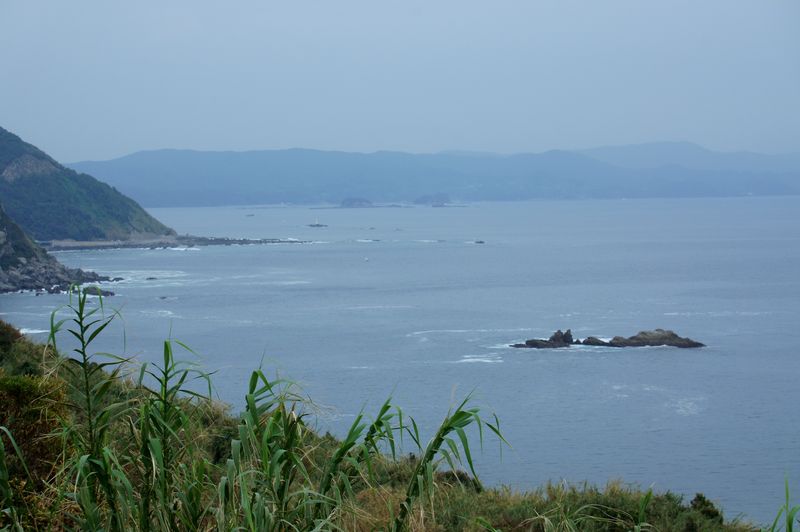 DSC00603