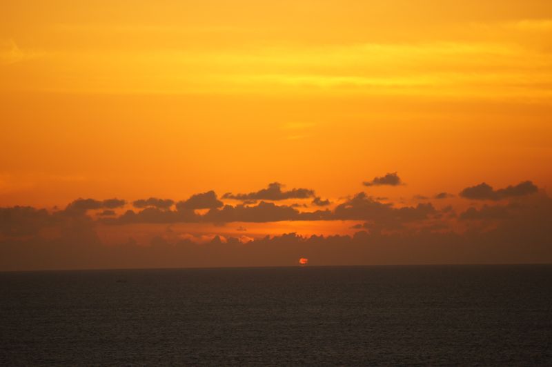 DSC00696