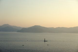 DSC03520