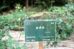 DSC04176