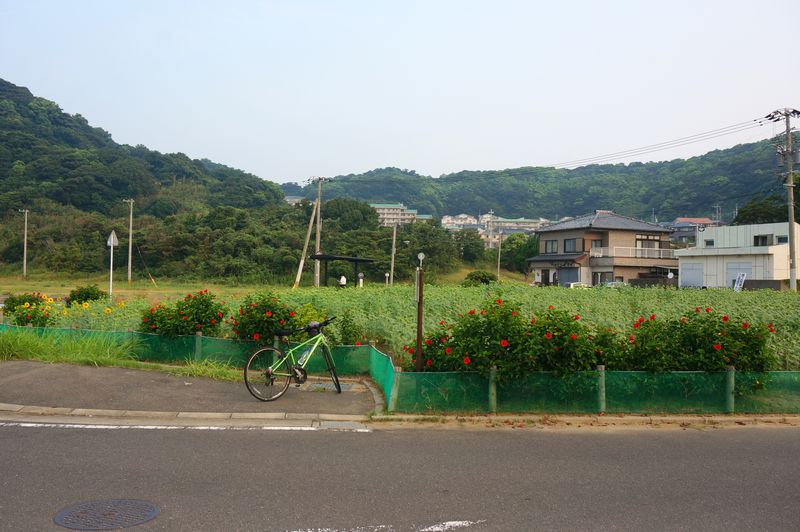 DSC05551