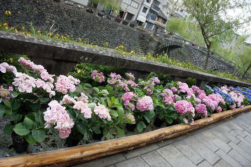 DSC05003