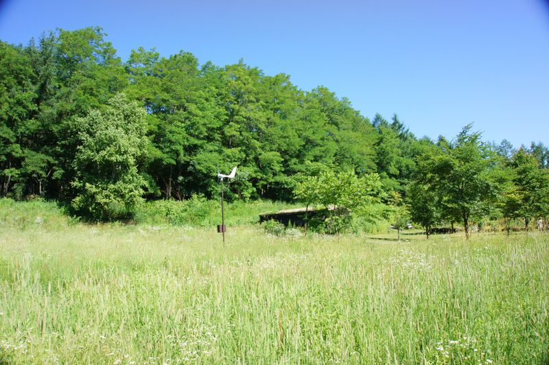 DSC05705 DSC05705