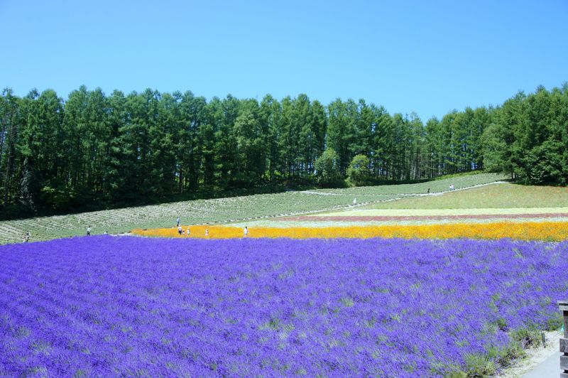 DSC05790 DSC05790