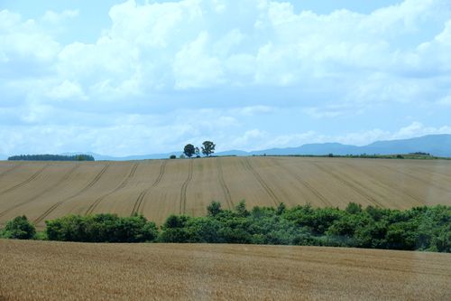 DSC05834 DSC05834