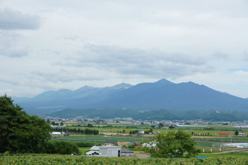 DSC05639