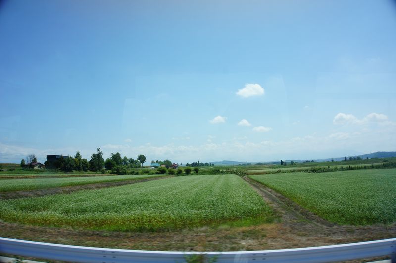 DSC05846 DSC05846
