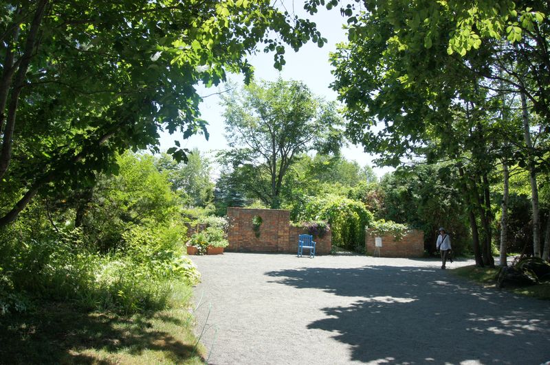 DSC05856 DSC05856