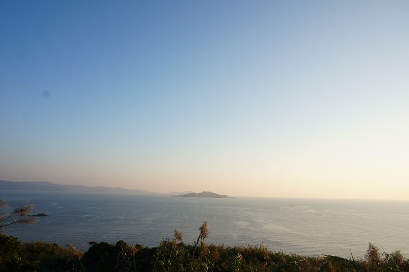 DSC06596