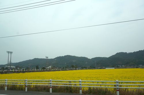DSC07223 DSC07223