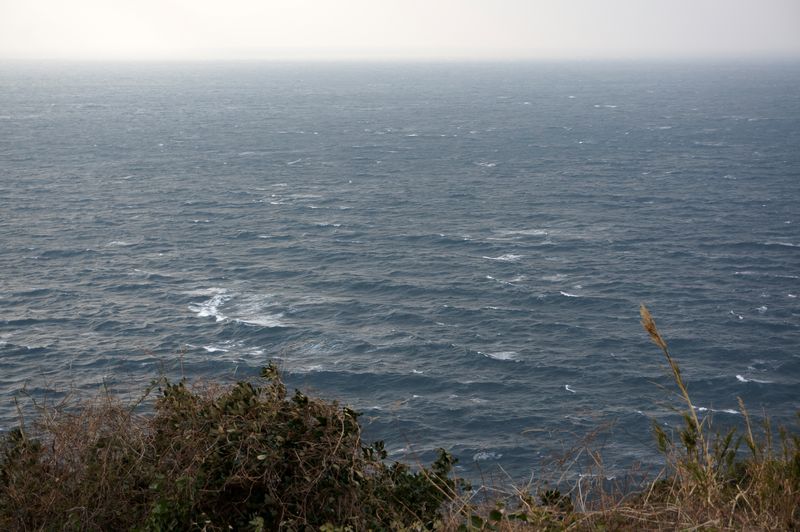 DSC07526