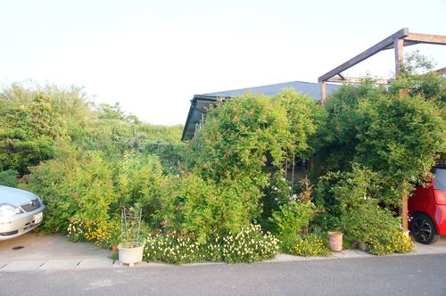DSC08890