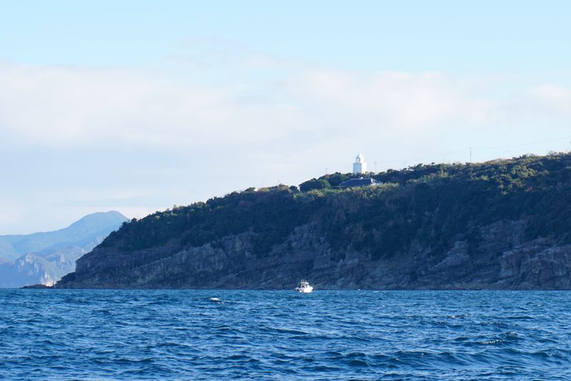 DSC03502