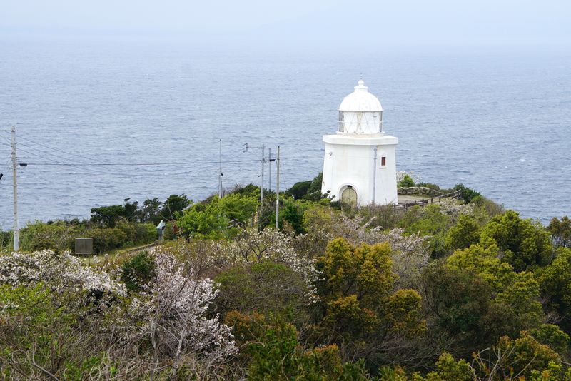 DSC04560 DSC04560