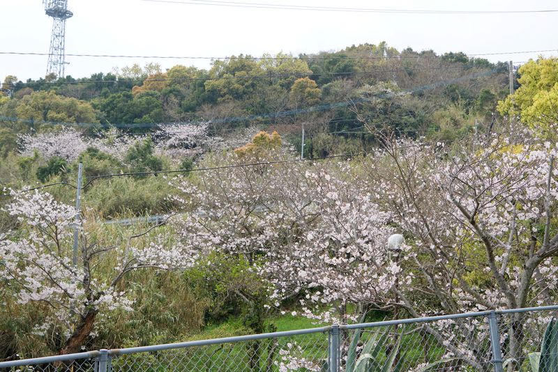 DSC04569 DSC04569