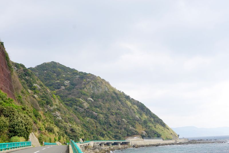 DSC04570 DSC04570