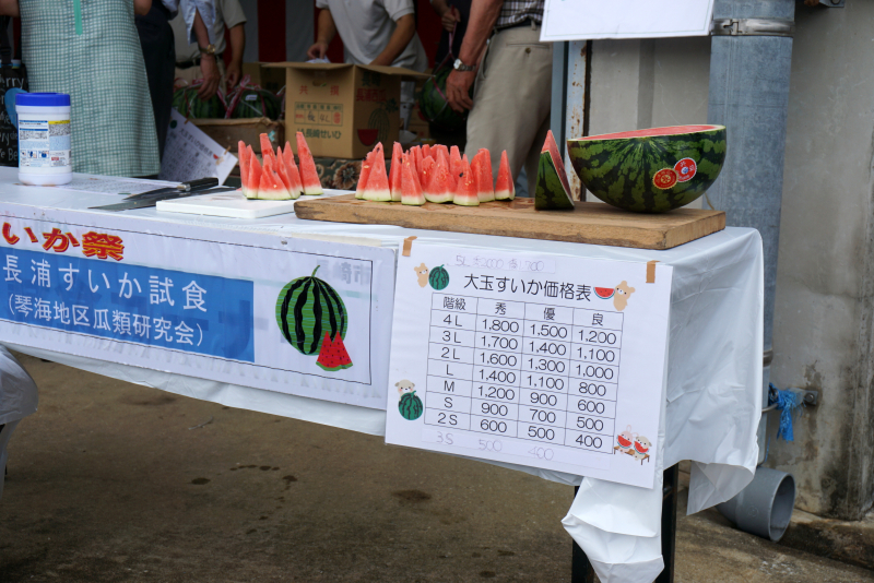 DSC05226 DSC05226