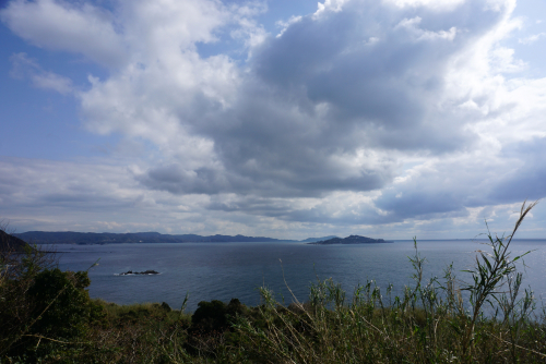 DSC02997