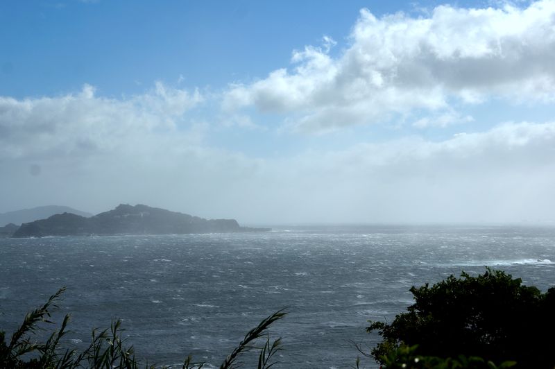 DSC00403