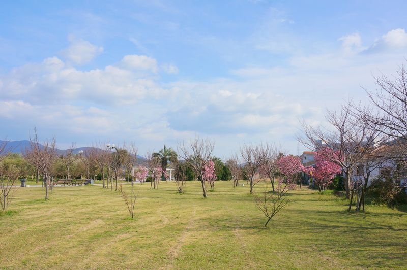 DSC01227