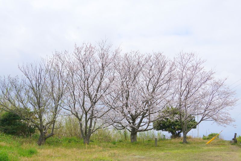 DSC04563 DSC04563