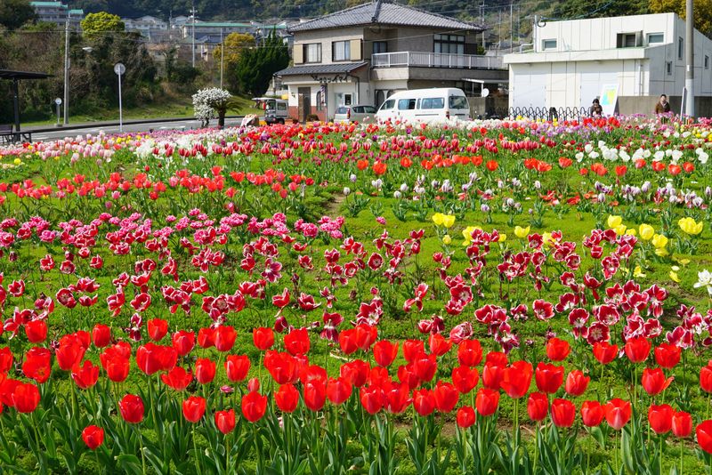 DSC04574 DSC04574