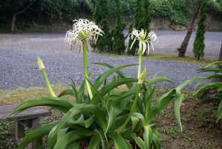 DSC01450