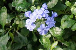 DSC03317