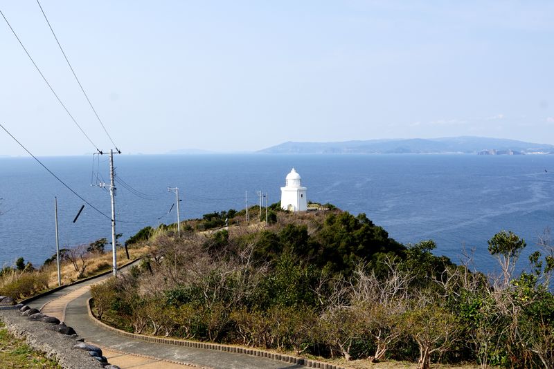 DSC04206