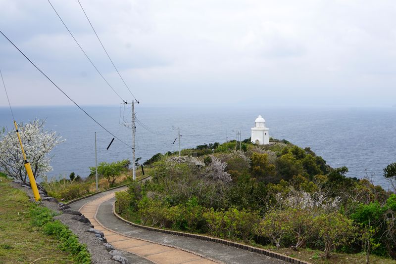 DSC04558 DSC04558