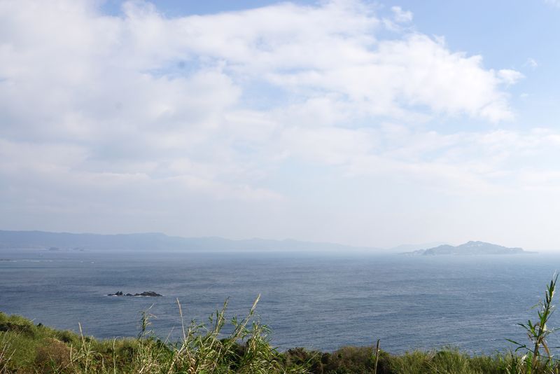 DSC04595 DSC04595
