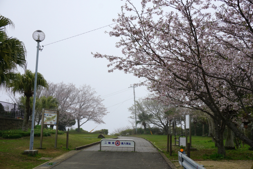 DSC00797