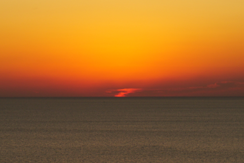 DSC02355