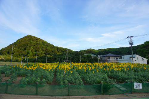 DSC04014