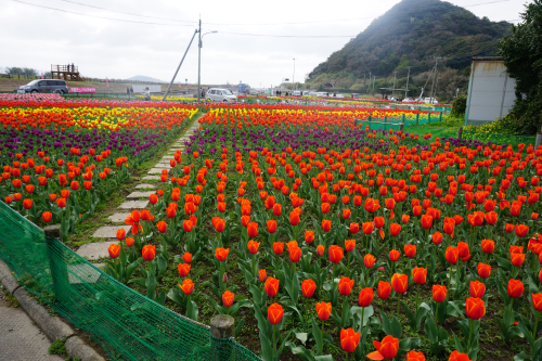 DSC05230